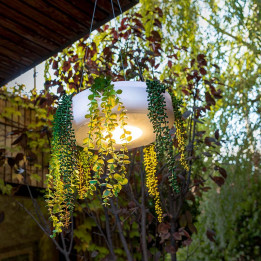 Jardinière ronde suspendue et lumineuse - ELBA 59 - Newgarden