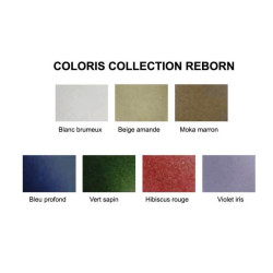 Salon de jardin - REBORN - slide Couleurs