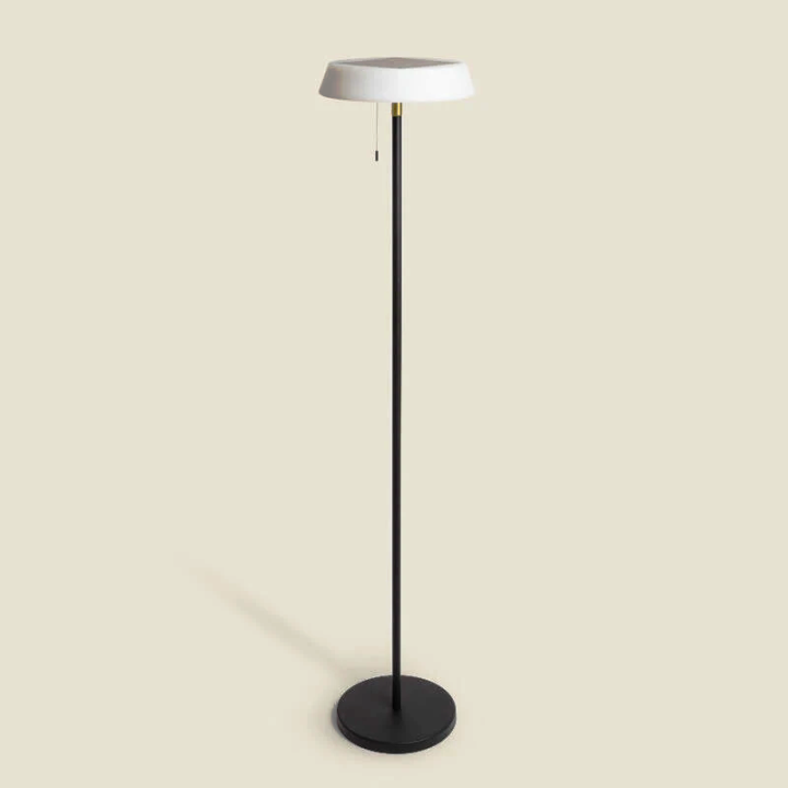 Lampadaire Solaire LED Extérieur Aladana
