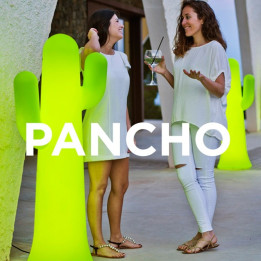 Cactus lumineux - Pancho - Newgarden