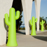 Cactus lumineux - Pancho - Newgarden